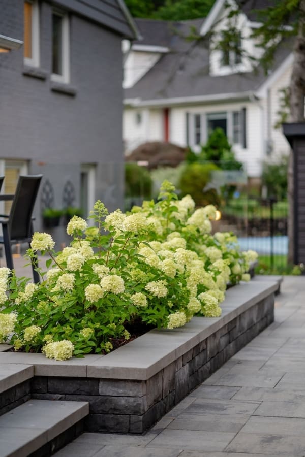 Distinctive - Sharalin