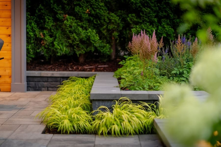 Distinctive - Sharalin