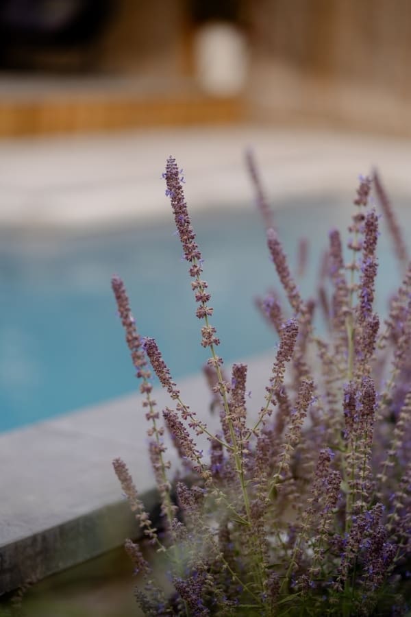 Distinctive - Stocksbridge