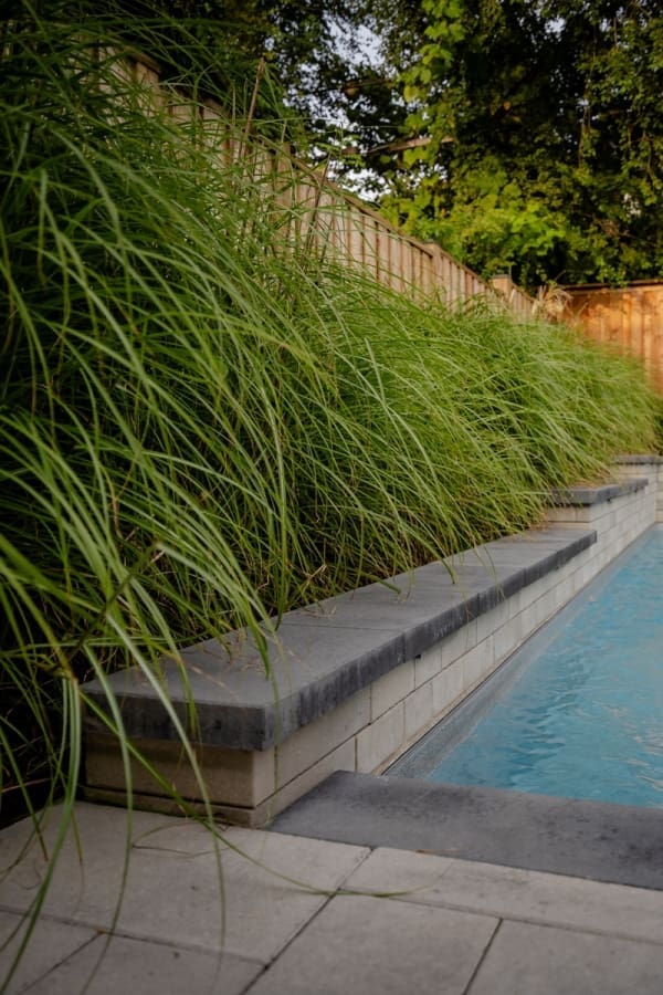 Distinctive - Thompson