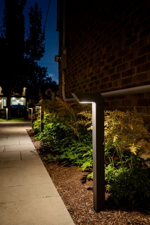 Distinctive - Thompson