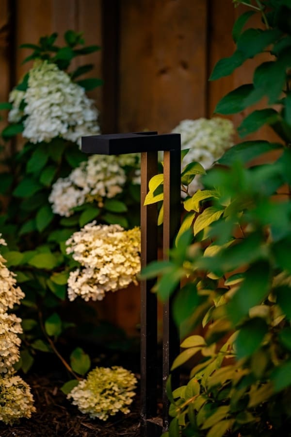 Distinctive - Canonridge